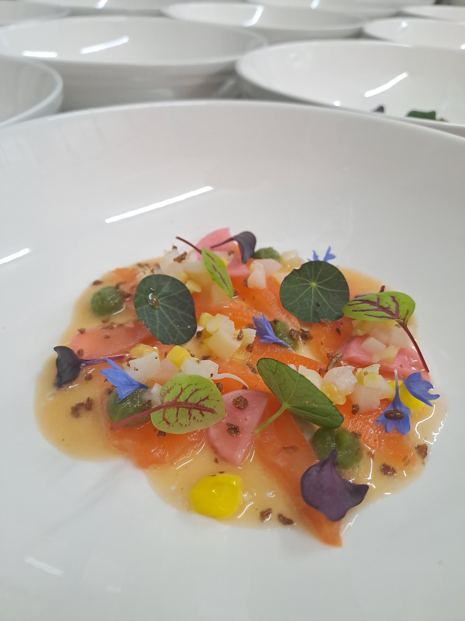 Ceviche